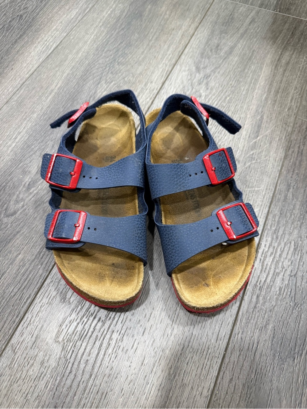 Birkenstock Milano Navy Sandals with Red Buckles